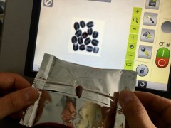 Pit detection in olives packed in flexible pouches