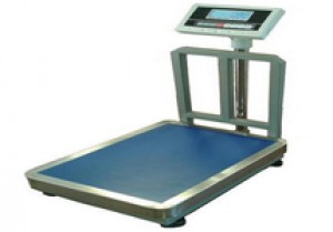 Floor scales with support frame