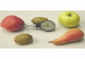 Fruit Penetrometer & Hardness tester